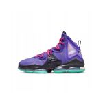 NIKE Lebron XIX Mens Basketball Trainers CZ0203 Sneakers Shoes (UK 8 US 9 EU 42.5, Wild Berry 500)