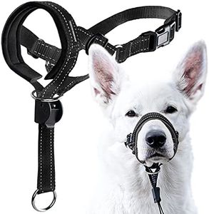 GoodBoy Dog Head Halter with Safety Strap - Stops Heavy Pulling On The Leash - Padded Headcollar for Small Medium and Large Dog Sizes - Head Collar Training Guide Included (Size 2, Black)