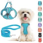 Small Dog Harness and Leash Set, No Pull Adjustable Reflective Breathable Mesh Step in Dog Harness Easy Walk Dog Harness for Extra Small/Small Medium Dog Cats Puppy (Dark blue, XS)