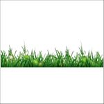 Luxe Decore Green Grass Vinyl Wall Sticker for Kids Room, Bedroom, Living Room, (Size - 25 Cm X 90 Cm)