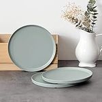 FINE&NICE Melamine Plates, 6 Pieces Dinnerware Plates, 10.5in Plates Set, Safe Dishes, Scratch Resistant, Dishwasher Safe Plates - Sage Color