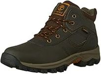 Timberland MT Maddsen Hiking Boot, Dark Brown, 6.5 M US