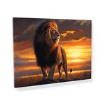 Sense Canvas Lion Majestic Sunset 38 Canvas Art - Home Decor Wall Art Print Poster Painting Medium 24x18 / 1.5" (60x45cm / 4cm)