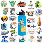 50Pcs Surf