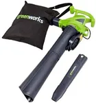 Greenworks 12 Amp 2-Speed (230 MPH 