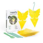 Trappify Sticky Gnat Traps for House Indoor - Yellow Fruit Fly Traps for Indoors/Outdoor Plant - Insect Catcher White Flies, Mosquitos, Fungus Gnat Trap, Flying Insects - Disposable Glue Trapper (25)