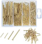 350PCS Brass Gold Nails and Pins Assortment, Brass Plated Nails for Wood Working Panel Pins Gold Nail Tacks for Wall Hanging（20mm/25mm/40mm/50mm）