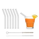 Halm Glass Straws – 6x Short 6 Inch