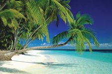 Maldives Beach Poster Print