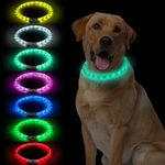 LED Multi-Color Dog Collar, Rechargeable 7 Colors Changing Light Up Dog Collar, Dog Lights Make Pet Visible and Safety for Night Walking，Outdoor, Camping, for Small Medium Large Dogs by NOVKIN