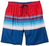 Burnside Mens Stripes Swim Shorts X