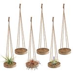 6 Pcs Hanging Wooden Air Plant Holder - 3" Round Wooden Air Plant Hanger with 4 Jute Ropes, Rustic Air Plant Stand Tillandsia Succulent Display Container for Home Office Decor Housewarming Gift