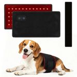 Worxvell Red Light Therapy for Dogs: Wearable Red Light Belt for Dogs Back Hip Waist 12.8×6.8in 660/850nm 80 Led Pad Infrared Device for Pets Pain Relief(1 Pack)