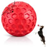 Golf Ball For Dogs