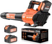 Leaf Blower Cordless - 580CFM/160MP