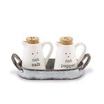 Mud Pie Farmhouse Inspired Ceramic Aluminum Salt and Pepper Caddy Set, One Size, White