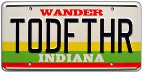 Stranger Things | TODFTHR | Metal Stamped License Plate