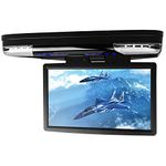 Flip Down Dvd Player For F150