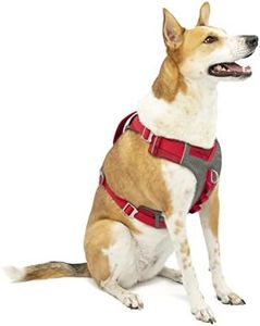 Kurgo Kurgo Journey Air (TM) Dog Running Harness, Dog Walking Harness, Dog Hiking Harness, Dog Harness, Red/Grey, Large, L