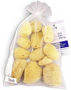 Natural Sea Silk Sponges 12pk - For Cosmetic Use, Makeup Application and Removal, Face and Eye Cleaning 1.5-3 inches (sized like cotton balls) by Constantia Beauty