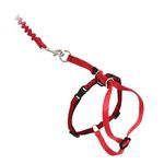 PetSafe Come With Me Kitty Harness and Bungee Leash, Harness for Cats, Large, Red/Cranberry