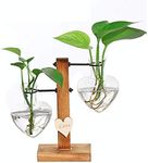 Feitore Plant Terrarium with Wooden