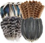 40pcs Natural Pheasant Feathers, Spotted Feathers, Turkey Feathers, 4 Styles Feathers for Crafts DIY Hat Floral Arrangements Wing Quill Wedding Home Party