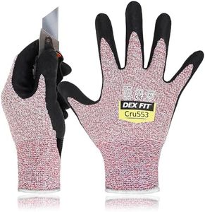 DEX FIT Ga