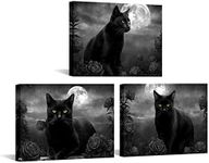 sechars 3 Pieces Cat Canvas Wall Ar