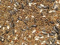 KOO Retails Mix Bird Feeder Seeds for Medium to Small Birds 1 kg, 7-9 Seeds Mixed for Budgies, Sparrow etc.