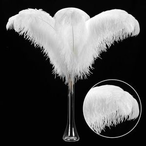 Larryhot White Large Ostrich Feathers - 28-30 inch 10pcs Feathers for Vase,Wedding Party Centerpieces and Home Decorations (White)