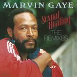 Sexual Healing: Remixes