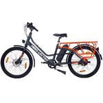 Hero Lectro Winn-X Electric Cycle for Unisex | Swappable 11.6 Ah Battery | 180Ltr Capacity with Anti Theft Locking System | 70 km Mileage Max with 25 mph APX. | Light Weighted Aluminium Alloy Frame