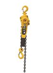 3/4 Ton lever Hoist with 15 ft. chain fall