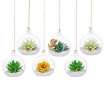 10cm Hanging Glass Globes Terrarium Orbs 6 Pcs Glass Planter Big Opening Air Fern Plants Vase Hanger 4 Inches for Home Party Wedding Garden DIY Design