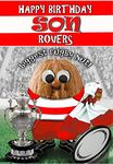 Birthday Card for Son – Hull Kingston Rovers - Rugby Sports Nut