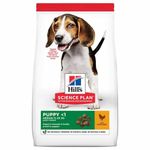Hill's Puppy Food Science Plan Medium Breed 12kilogram Chicken