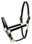 Perri's Horse 1-Inch Turnout Halter, Black