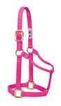 Weaver Leather Original Non-Adjustable Nylon Horse Halter, Diva Pink