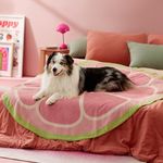 Lesure Dog Blankets for Large Dogs - Calming Fruit Blanket for Pet, Cute Soft Cozy Fruit Pattern Round Blankets for Dog Gift, 350GSM Flannel Pet Throw Blanket for Puppy, 50"x50", Pink