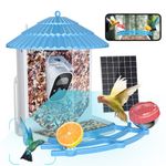Bnlei Smart Bird Feeder with Camera Solar Powered for Outside WiFi, AI-Recognition Bird Buddy Watching, Hummingbird Feeders Kit for Outdoors Squirrel Proof, mangeoire oiseaux exterieur
