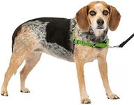 PetSafe Easy Walk No-Pull Dog Harness - The Ultimate Harness to Help Stop Pulling - Take Control & Teach Better Leash Manners - Helps Prevent Pets Pulling on Walks, Small/Medium, Apple Green/Gray