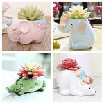 Brotherhood Enterprise Pack of 4 Pink Elephant,Crocodile,Baby On Bear & Baby On Elephant Design Resin Succulent Pot Resin Planter Succulent Pot Succulent Indoor and Outdoor Pot