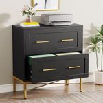 Tribesigns 2 Drawer File Cabinet, M