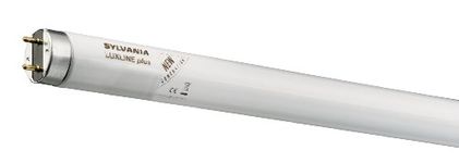 Sylvania Fluorescent Tube T8 Triphosphor 18w 600mm (2,) 835 - white 10 Pack