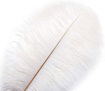 DCRWVCTON - 10 plumas naturales de avestruz (35-40 cm), color blanco