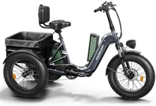 Electric Tricycle for Adult,110 Mil