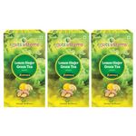 roots & stems Green Tea Lemon Ginger | Instant Premix Extract Powder with Probiotic | For Fat Loss & Weight Management | 60g (3gx20 Sachets) Pack of 3