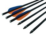 Fay Archery 12PK Crossbow Bolts with 100 Grain Screw-in Tips and Aluminum Nock for OD8.8mm Hunting Arrows (18 Inch)