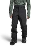 THE NORTH FACE Men's Freedom Snowpa